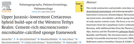 Upper Jurassic–lowermost Cretaceous hybrid build-ups of the Western Tethys Realm: Cement-rich microencruster-microbialite-calcified sponge framework