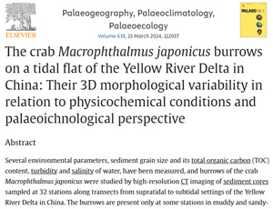 The crab Macrophthalmus japonicus burrows on a tidal flat of the Yellow River Delta in China: Their 3D morphological variability in relation to physicochemical conditions and palaeoichnological perspective
