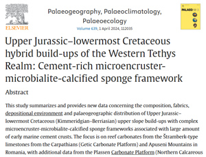 Upper Jurassic–lowermost Cretaceous hybrid build-ups of the Western Tethys Realm: Cement-rich microencruster-microbialite-calcified sponge framework