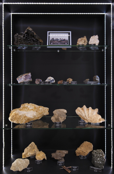 KOLEKCJA KOŁA NAUKOWEGO GEOLOGÓW STUDENTÓW UJ