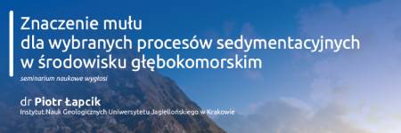 Znaczenie mułu dla wybranych procesów sedymentacyjnych w środowisku głębokomorskim