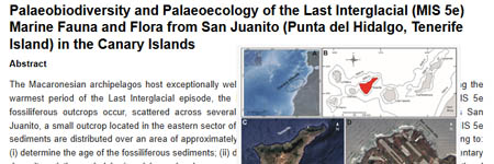 Palaeobiodiversity and Palaeoecology of the Last Interglacial (MIS 5e) Marine Fauna and Flora from San Juanito (Punta del Hidalgo, Tenerife Island) in the Canary Islands