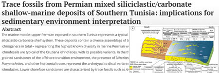 Trace fossils from Permian mixed siliciclastic/carbonate shallow-marine deposits of Southern Tunisia : implications for sedimentary environment interpretation