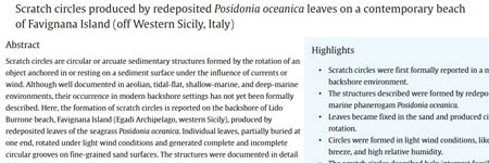 Scratch circles produced by redeposited Posidonia oceanica leaves on a contemporary beach of Favignana Island (off Western Sicily, Italy)