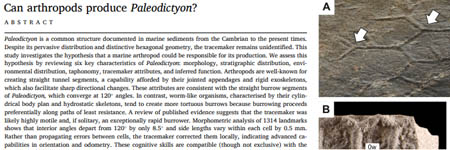 Can arthropods produce Paleodictyon?