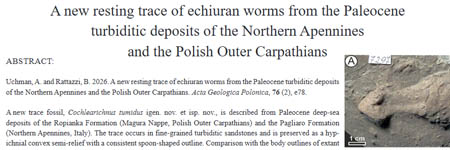 A new resting trace of echiuran worms from the Paleocene turbiditic deposits of the Northern Apennines and the Polish Outer Carpathians