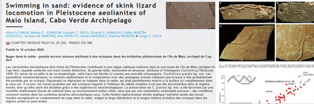 Swimming in sand : evidence of skink lizard locomotion in Pleistocene aeolianites of Maio Island, Cabo Verde Archipelago