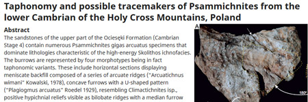 Taphonomy and possible tracemakers of Psammichnites from the lower Cambrian of the Holy Cross Mountains, Poland